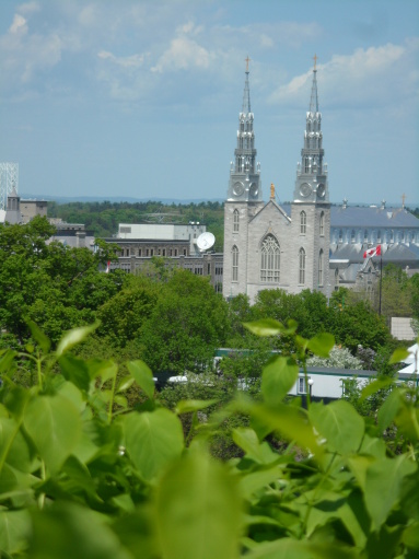 SAM_1087 Ottawa - Note Dama basilica