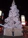 SAM_0336 Vánoční strom na Dundasu 